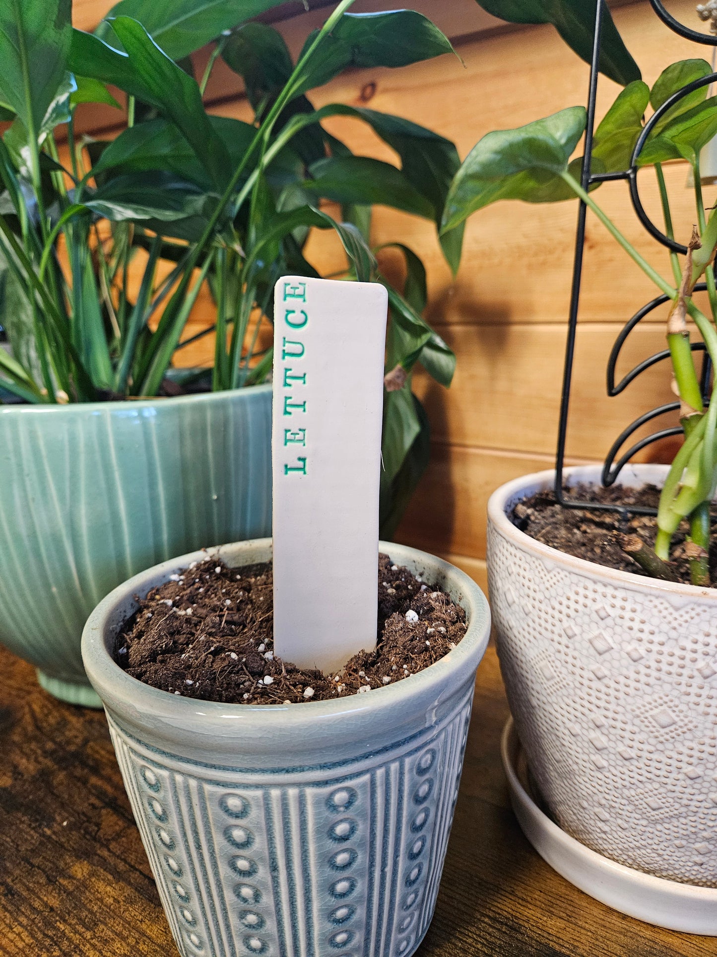 Lettuce plant marker