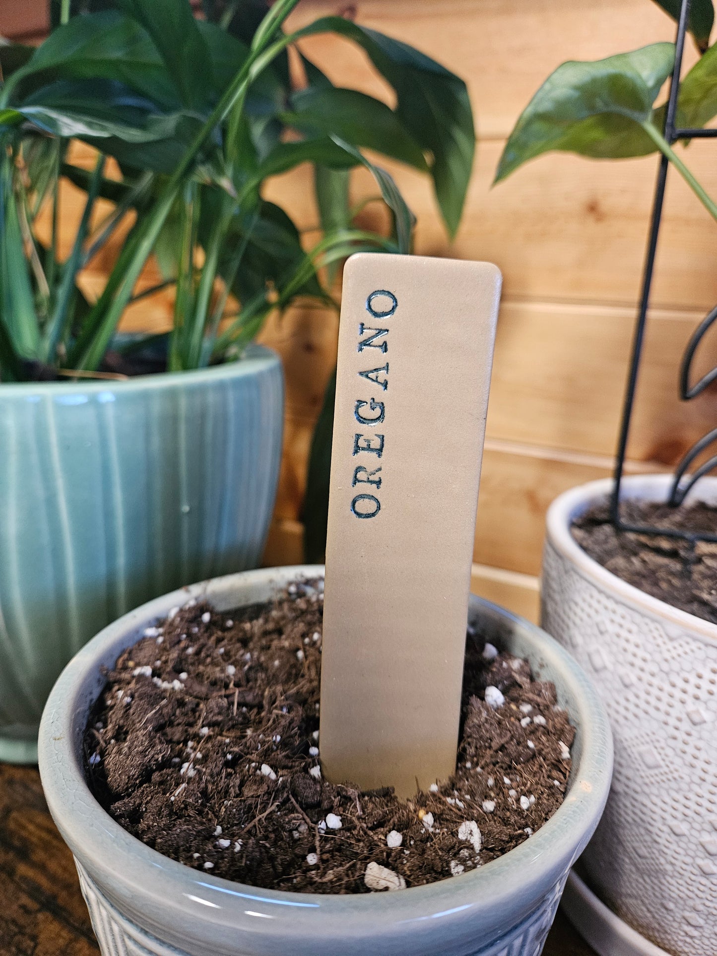 Oregano plant marker