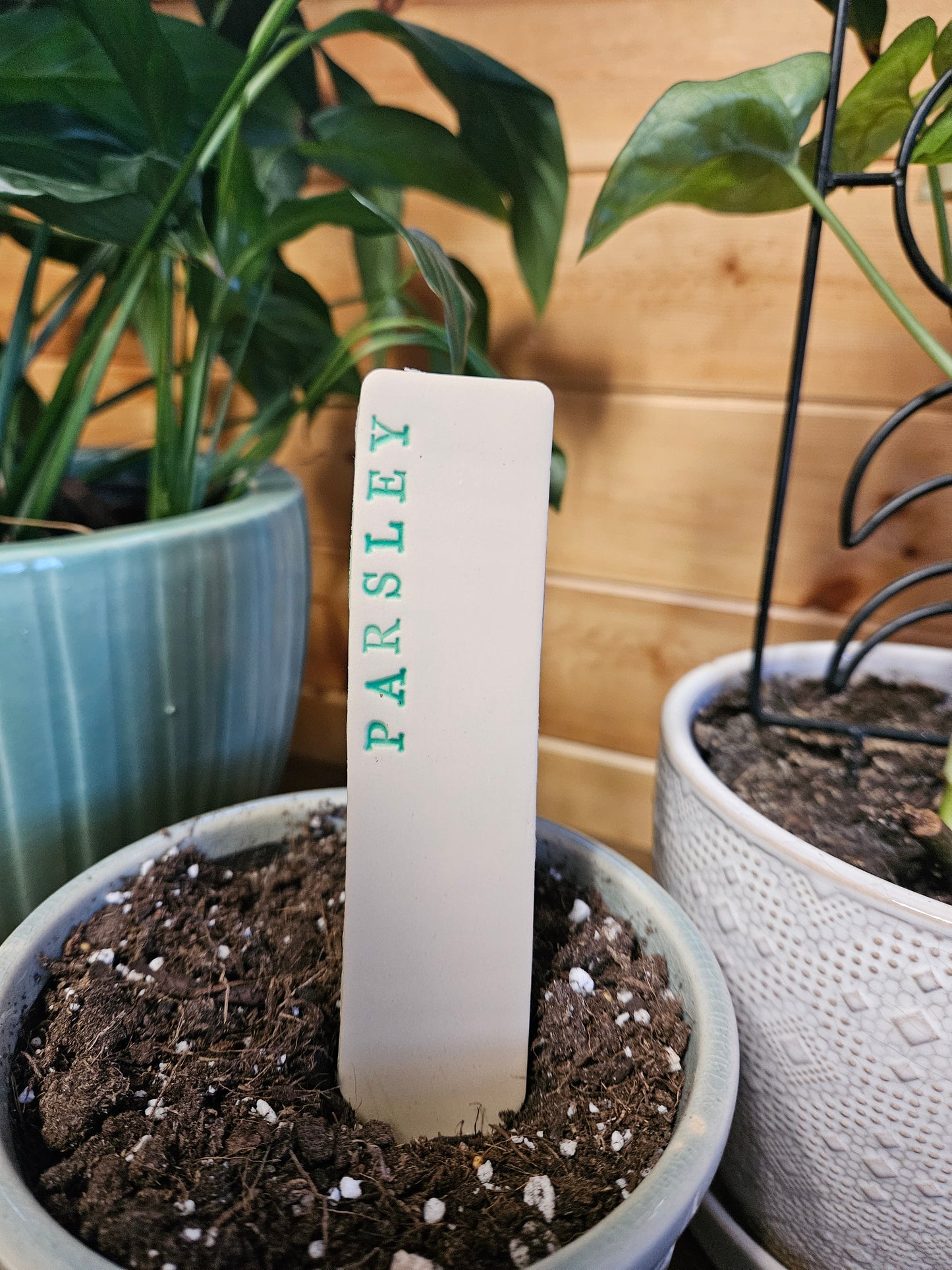 Parsley plant marker
