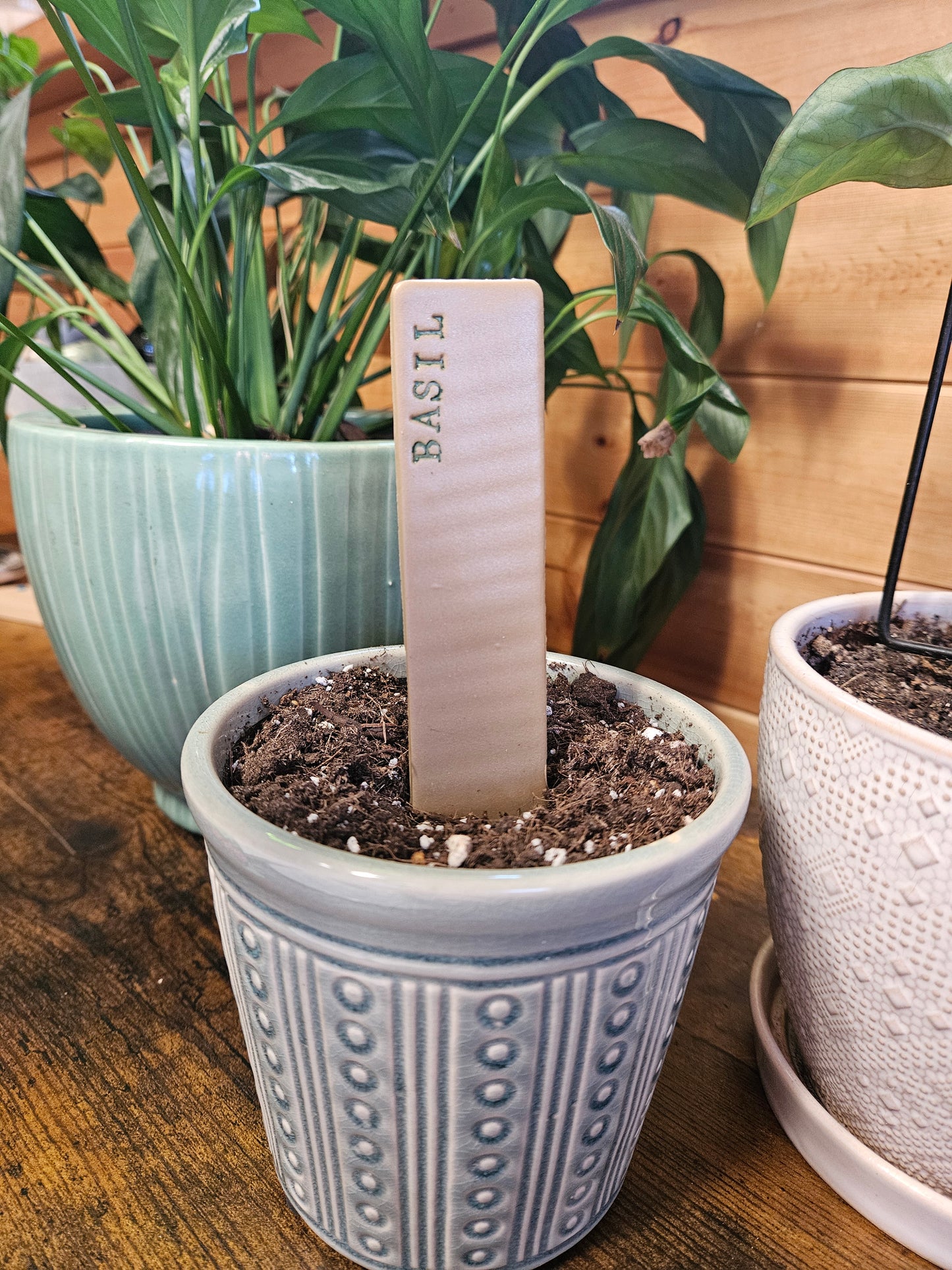 Basil plant marker