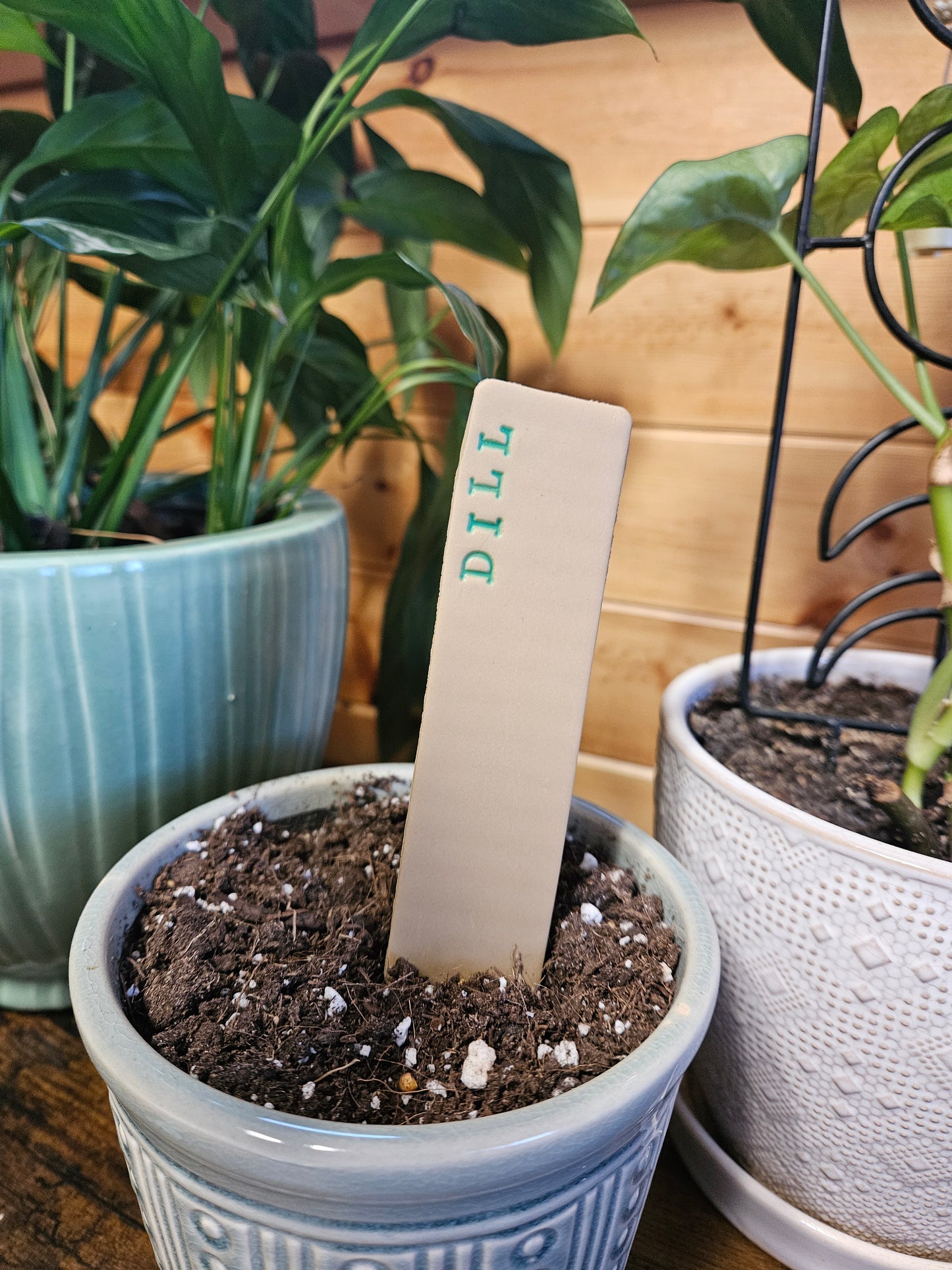 Dill plant marker