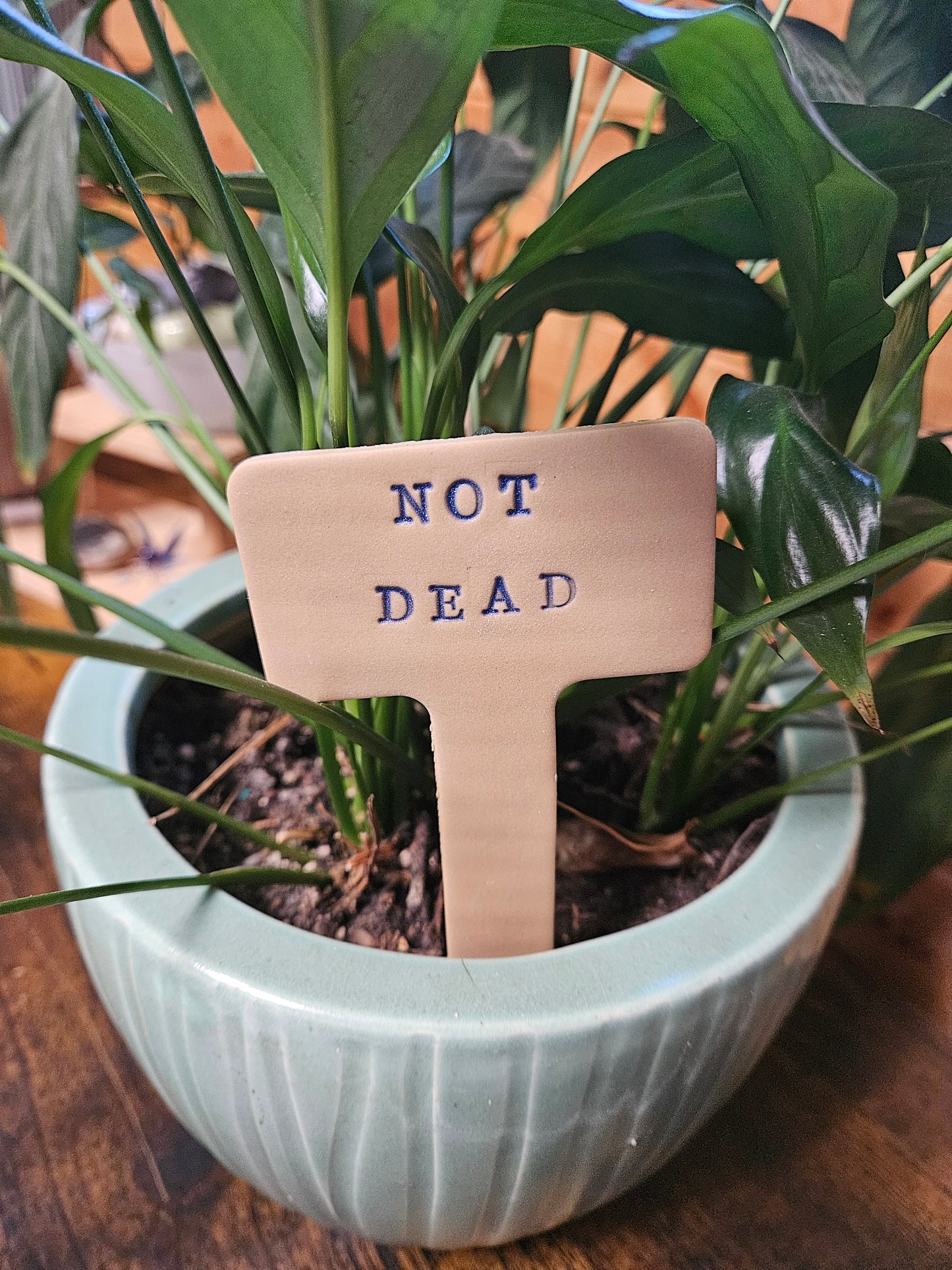 Not Dead plant marker