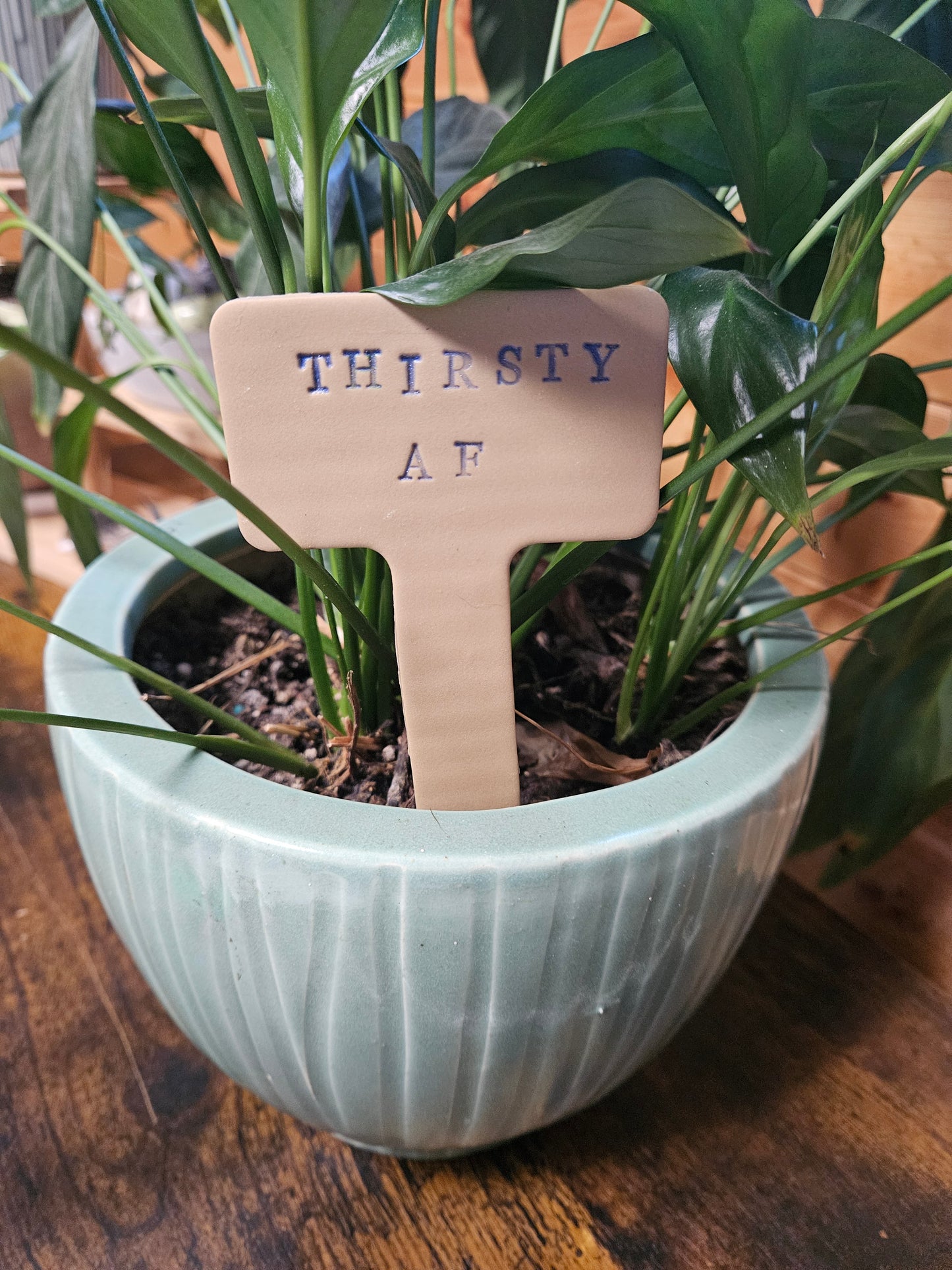 Thirsty AF plant marker