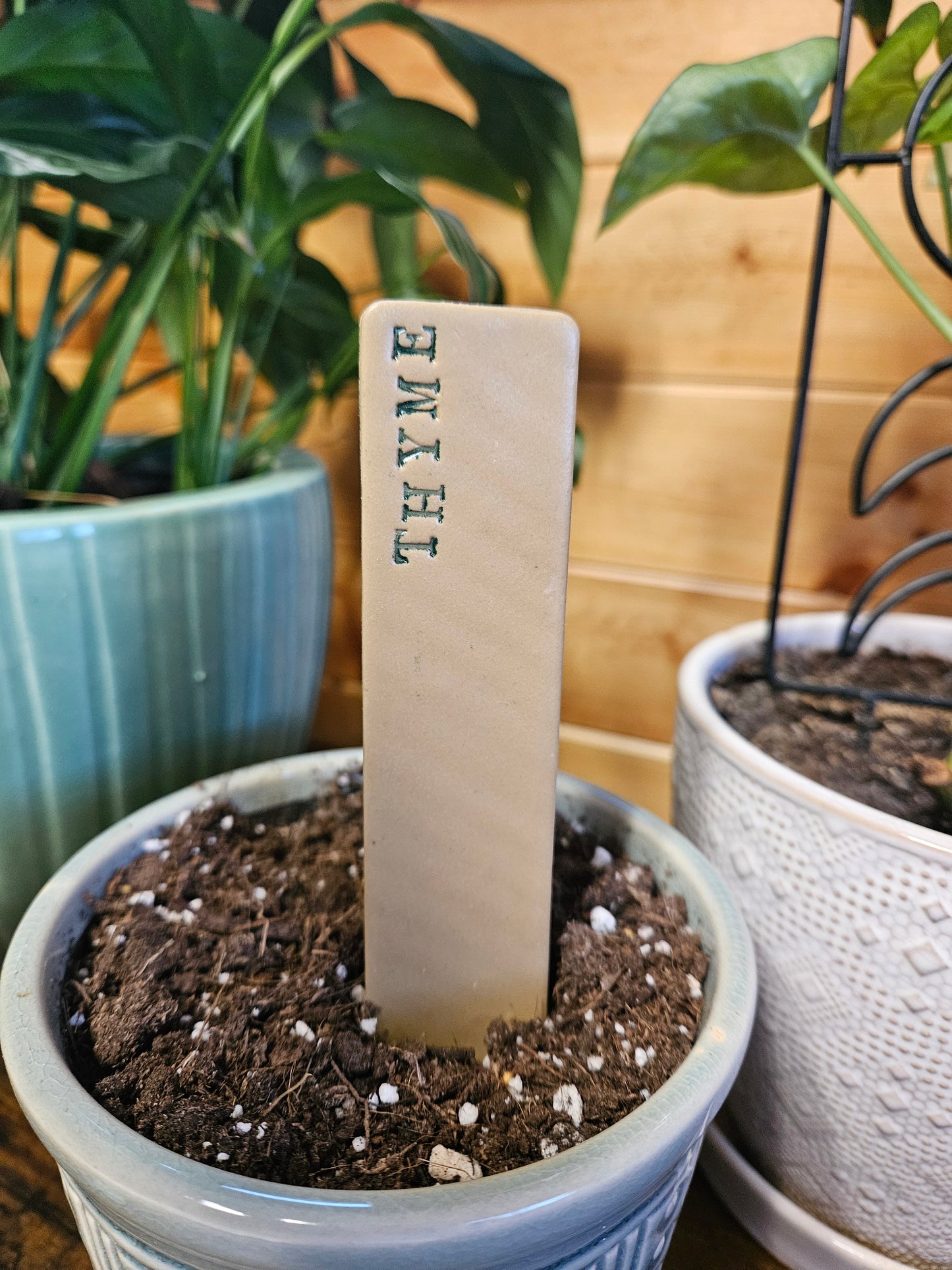 Thyme plant marker