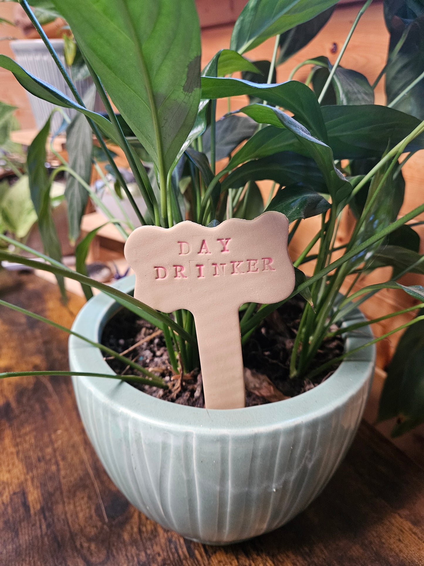 Day Drinker plant marker